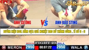 Trận 23 CPC2 11/4/2025
