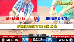Trận 23 CPC3 3/4/2025