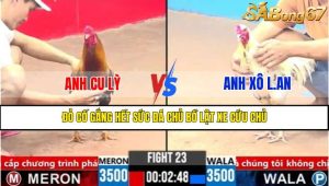 Trận 23 CPC3 5/4/2025