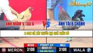 Trận 23 CPC3 9/4/2025