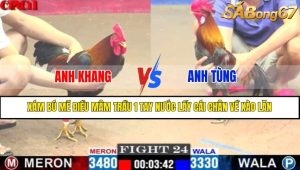 TRẬN 24 CPC1 19/4/2025