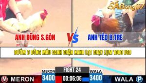Trận 24 CPC3 13/4/2025