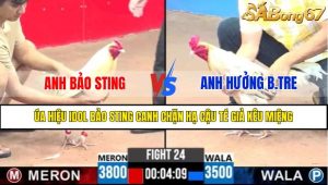TRẬN 24 CPC3 22/4/2025