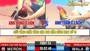 Trận 24 CPC3 3/4/2025