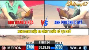 Trận 24 CPC3 8/4/2025