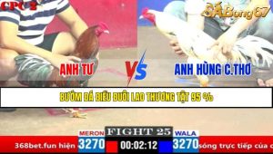 Trận 25 CPC1 2/4/2025