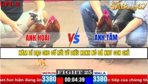 Trận 25 CPC2 4/4/2025