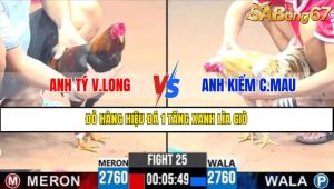 Trận 25 CPC3 11/4/2025
