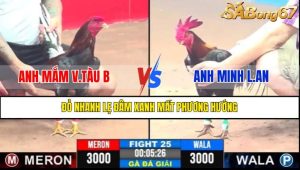 Trận 25 CPC3 9/4/2025