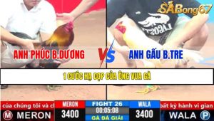 Trận 26 CPC3 1/4/2025
