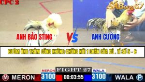 Trận 27 CPC2 11/4/2025
