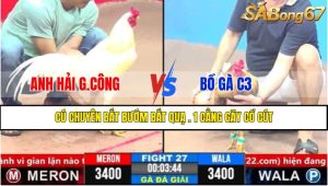 Trận 27 CPC3 1/4/2025