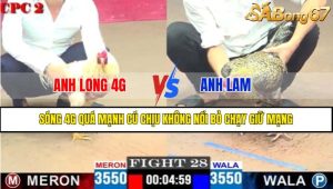 Trận 28 CPC2 13/4/2025