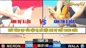 Trận 28 CPC3 11/4/2025