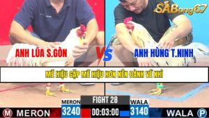 Trận 28 CPC3 12/4/2025