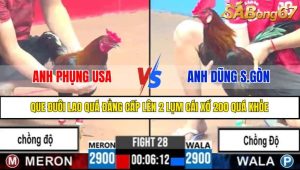 Trận 28 CPC3 13/4/2025