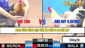 TRẬN 28 CPC3 19/4/2025