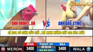 TRẬN 28 CPC3 22/4/2025
