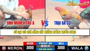 Trận 28 CPC3 9/4/2025