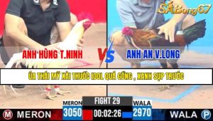 TRẬN 29 CPC3 16/4/2025