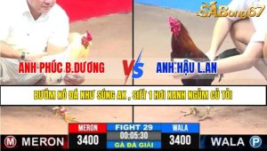 TRẬN 29 CPC3 22/4/2025