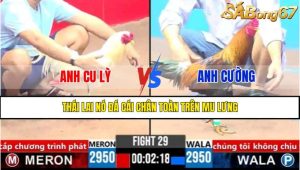 Trận 29 CPC3 5/4/2025