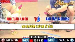 TRẬN 3 CPC1 17/4/2025