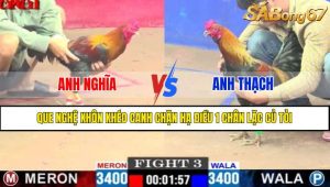 Trận 3 CPC1 8/4/2025