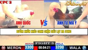 TRẬN 3 CPC2 16/4/2025