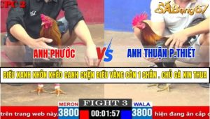 Trận 3 CPC2 4/4/2025