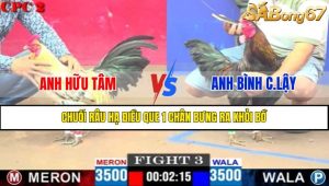 Trận 3 CPC2 9/4/2025