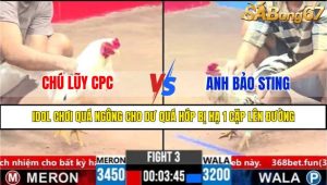 Trận 3 CPC3 1/4/2025