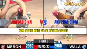 TRẬN 3 CPC3 23/4/2025