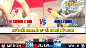 TRẬN 3 CPC3 29/4/2025