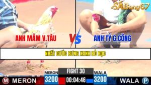 Trận 30 CPC2 11/4/2025