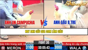 Trận 30 CPC3 1/4/2025