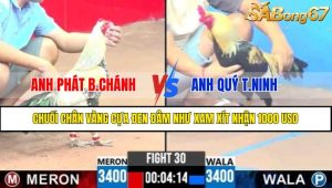TRẬN 30 CPC3 16/4/2025