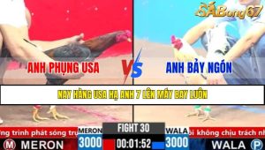 Trận 30 CPC3 3/4/2025