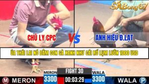 Trận 30 CPC3 8/4/2025
