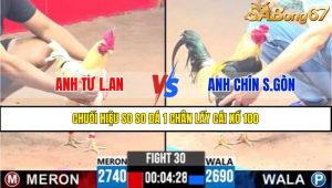 Trận 30 CPC3 9/4/2025