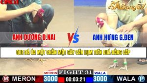Trận 31 CPC1 14/4/2025