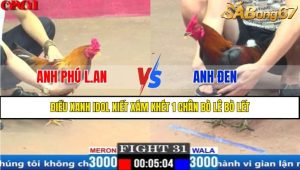 Trận 31 CPC1 3/4/2025