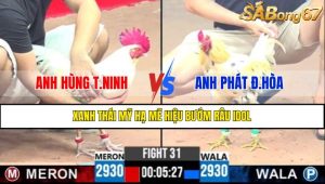 TRẬN 31 CPC3 16/4/2025