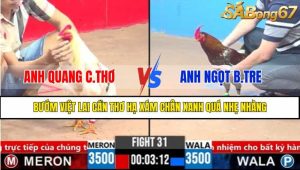 Trận 31 CPC3 2/4/2025