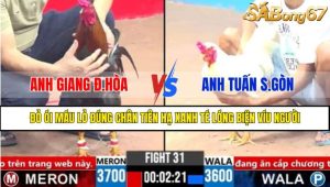Trận 31 CPC3 3/4/2025