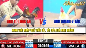 Trận 31 CPC3 4/4/2025