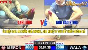 TRẬN 33 CPC2 18/4/2025