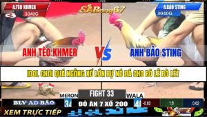TRẬN 33 CPC3 22/4/2025