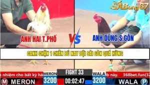 Trận 33 CPC3 5/4/2025