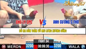 Trận 34 CPC3 8/4/2025